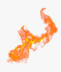 Fire, fire rose, fire illustration, flower arranging, orange png. Transparent Realistic Fire Png Png Download Transparent Png Image Pngitem