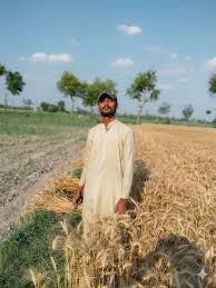 Imran Ali