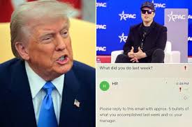 Trump backs Musk's 'what did you do last week' email to federal employees,  says workers will be 'semi-fired or fired' if not answered