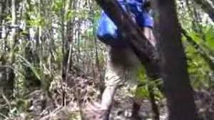 Ella friends remix standing in the eyes of the world for july 4th 2020 us embassy kl presents. Standing In The Eyes Of The World Mp3 Download 320kbps