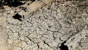 A mulher ousada que fez ninfoplastia- veja os vídeos completos!