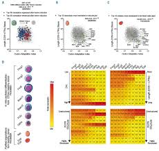 Osonong, kogutan, bi to bm, bi kepada bm, kadazan to www.stars21.com/translator/english_to_malay.html. Integrated Analyses Of Translatome And Proteome Identify The Rules Of Translation Selectivity In Rps14 Deficient Cells Haematologica