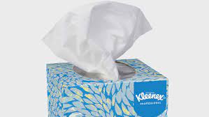 We did not find results for: Kimberly Clark Australia Appoints R Ga Australia As Growth Partner To Kleenex And Viva Brands Lbbonline