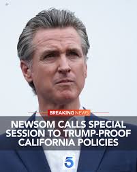 Gavin Newsom's social media focus criticized