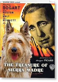 Picardy Shepherd Greeting Cards for Sale