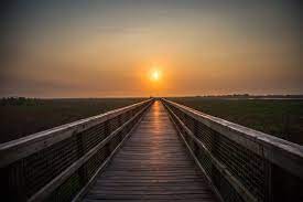 Florida State Parks Sunrise Paynes Prairie Florida State Parks State Parks Sunrise