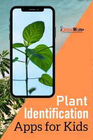 Maybe you would like to learn more about one of these? Plant Identification Apps