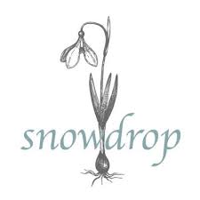 Snowdrop grey mold is a plant disease caused by a fungus called botrytis galanthina. Snowdrop Snowdropsouth Twitter