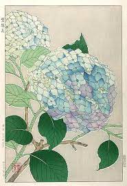 Hanga Gallery Torii Gallery Hydrangea By Kawarazaki Shodo Japanese Painting Art Japanese Art