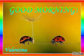 The perfect goodmorning animated gif for your conversation. Good Morning Picmix