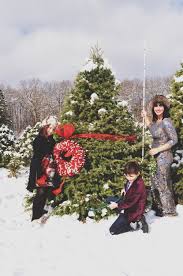 How to choose & cut down your own christmas tree. The Christmas Tree Harvest A Perfect Opportunity For A Holiday Card Photo Shoot Bacon Lox Society