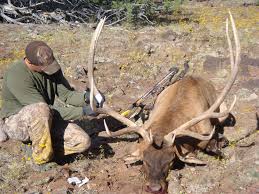 Western Hunting are you Evolving? — Outdoorsmans