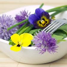Check spelling or type a new query. Edible Flower Seed Mix American Meadows