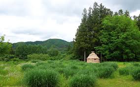 遠野時間｜遠野市観光情報サイト