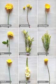 Buttercup flowers require plenty of water to thrive. A Bunch Of Flowers Decorator S Notebook Yellow Wedding Flowers Flower Guide Wedding Flower Guide