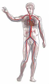 Oxygen Saturation Medicine Wikipedia