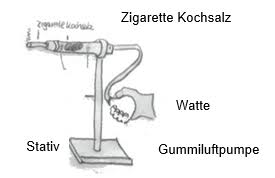 Stationenlernen Rauchen Unterricht biologie setzt erkenntnisse und erkenntniswege der modernen biologie alltagsbezogen als unterricht biologie vor mehr als 40 jahren an den start ging, war die zielsetzung eindeutig. stationenlernen rauchen