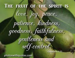 Against such things there is no law. Quotes About Fruits Of The Spirit 59 Quotes