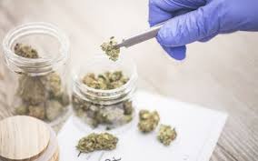 Health insurance won't pay for medical marijuana as an herbal remedy if marijuana was to be reclassified so that it wasn't a controlled substance at all, it might become available without a prescription. Why Health Insurance Won T Pay For Medical Marijuana