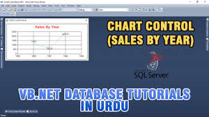 Vb Net Chart Control Tutorial In Urdu Basics Sales By Year Chart