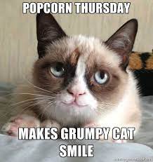 Happy Thursday Cat Meme Funny Grumpy Cat Memes Grumpy Cat Humor Funny Cat Memes