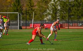 Image result for Emilia hockii