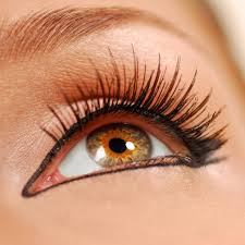 Image result for cluster lashes
