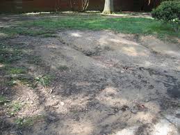 Does your company need a new landscaping design? A Brief Guide To Soil Erosion Yano S Nursery