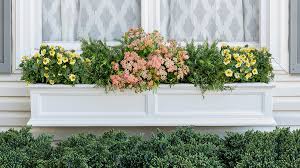 We did not find results for: One Windowbox Three Colorful Combos