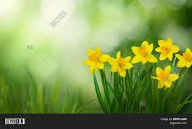 Bring any device to full bloom with our wonderful collection of free spring backgrounds & images. Beautiful Nature Image Photo Free Trial Bigstock