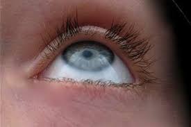 First up, the eyelash curler of pain. Do Eyelashes Grow Back If Cut