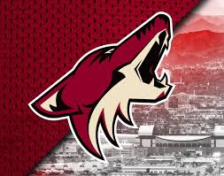 Arizona Coyotes Vs Winnipeg Jets Gila River Arena