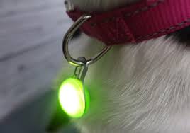 If you are planning to buy lighted dog collars for your faithful friend, then this post will assist you in knowing about the top quality led collars available on the market. Best Led Dog Collar Harness And Leash 21 Tested