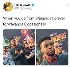 When You Go From Wakanda Forever To Wakanda Occasionally Lol Marvel Dc Movies Marvel Memes Marvel Jokes