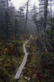 Bog Path In Maine On The Appalachian Trail Near Fourth Mountain Appalachian Trail Appalachian Trail Hi Appalachian Trail Appalachian Trail Hiking Hiking Usa