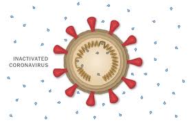 La variante delta demuestra una mayor capacidad de transmisión que va entre el 76% y el 117 jose cox ya, pero en chile la mayoría de la población ha sido vacunada con la mediocre sinovac. Turkey And Brazil Say Chinese Vaccine Effective With Sparse Supporting Data The New York Times