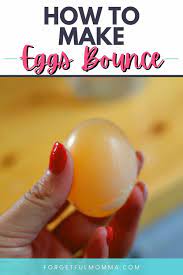 How To Make A Bouncy Egg Science Experiment Naked Egg Experiment