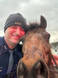 Michigan State Police