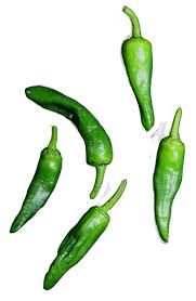 Chilli pepper 'padron' is excellent added to stir fries, stuffed or grilled. The Spanish Green Mild Tapas Pepper Pimientos De Padron
