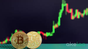 Differences in provider signals for binary options trading. Como Investir Em Bitcoin E Outras Criptomoedas O Guia Akeloo