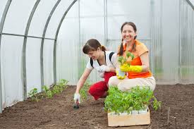 Tuteur tomate spirale nortene h.1.80 m est sur leroymerlin.fr. Comment Installer Un Tuteur Tomate Support Facile Inedit