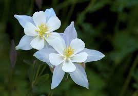 Pin On Nature