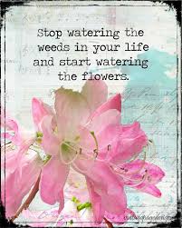 Water The Flowers Flowers Inspirational Words Vintage Flowers