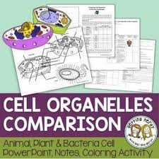 (1) function and (2) shape. Plant Animal Bacteria Cells Comparison Organelle Structure Function Distance Learning Digital Lesson