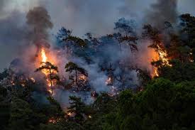 Dw news,wildfires,turkey,fire,antalya,forest fires in southern turkey,tourism in turkey,wildfires in turkey,breaking news,forest fires,locals,turkey forest fires. Jesv9l Mqitn0m