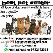 Keep reading to find the best dog parks near you! Top 10 Pet Shops For Dog In Asansol Best Pet Store Justdial