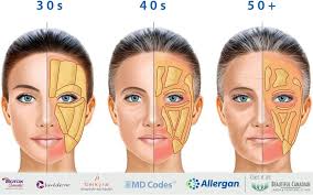 Try putting hot towels on your face because some believe steam can help you reduce cheek fat. Vancouver Surrey Face Slimming Facial Fat Removal Techniques How The Face Accumulates Fat