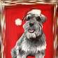 Holiday Project Pet event image