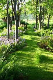 Amazing Landscaping Ideas For Simple Garden 13 Woodland Garden Amazing Landscaping Ideas Landscape Design