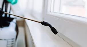 Get great deals on ebay! 59 Dubai Muncipality Certified Pest Control Companies In Dubai Mybayut